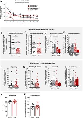 A male mouse model of WIN 55,212–2 self-administration to study cannabinoid addiction